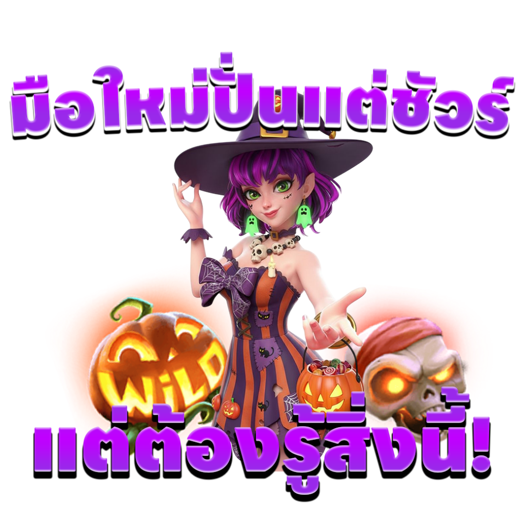 มือใหม่ปั่นแต่ชัวร์